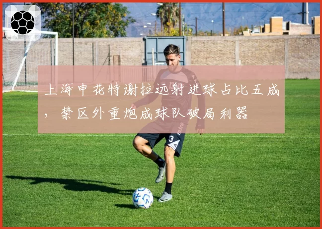 上海申花特谢拉远射进球占比五成，禁区外重炮成球队破局利器