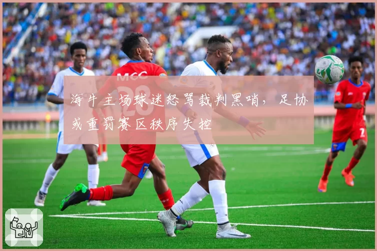 海牛主场球迷怒骂裁判黑哨，足协或重罚赛区秩序失控