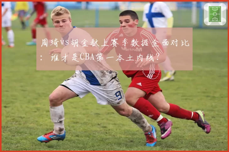 周琦vs胡金秋上赛季数据全面对比:谁才是CBA第一本土内线?