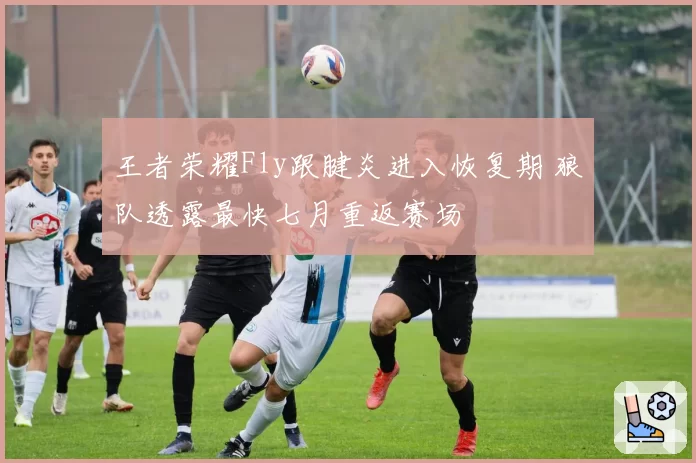 王者荣耀Fly跟腱炎进入恢复期 狼队透露最快七月重返赛场