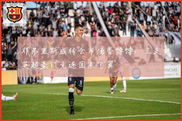 邓弗里斯成转会市场香饽饽，三支英超豪门竞逐国米飞翼