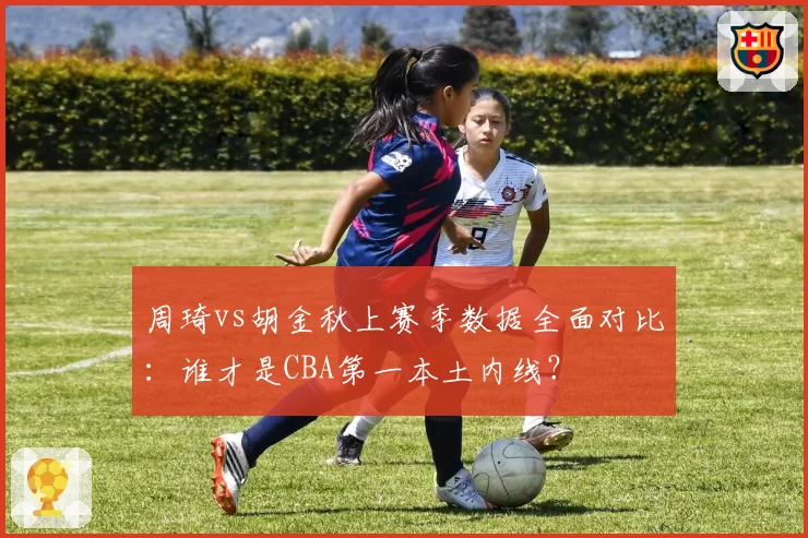 周琦vs胡金秋上赛季数据全面对比:谁才是CBA第一本土内线?