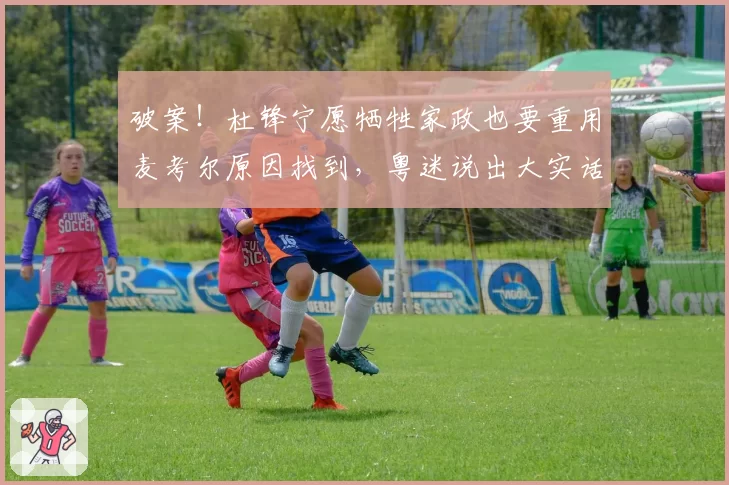 破案！杜锋宁愿牺牲家政也要重用麦考尔原因找到，粤迷说出大实话