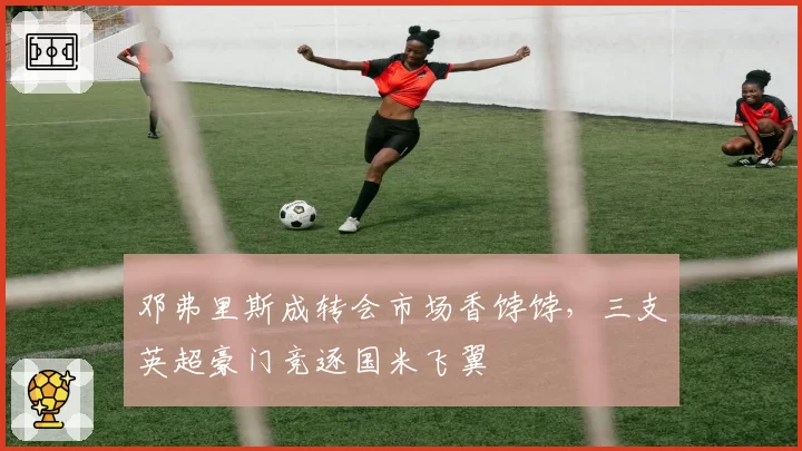 邓弗里斯成转会市场香饽饽,三支英超豪门竞逐国米飞翼