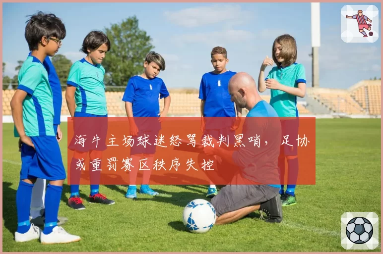 海牛主场球迷怒骂裁判黑哨，足协或重罚赛区秩序失控